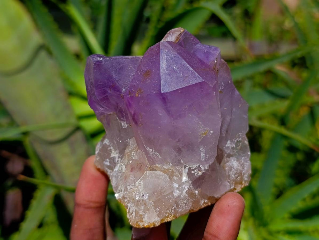 Natural Jacaranda Amethyst Crystal Clusters x 6 From Mumbwa, Zambia - Toprock Gemstones and Minerals 