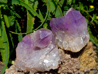 Natural Jacaranda Amethyst Crystal Clusters x 6 From Mumbwa, Zambia