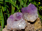 Natural Jacaranda Amethyst Crystal Clusters x 6 From Mumbwa, Zambia - Toprock Gemstones and Minerals 