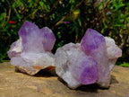 Natural Jacaranda Amethyst Crystal Clusters x 6 From Mumbwa, Zambia - Toprock Gemstones and Minerals 
