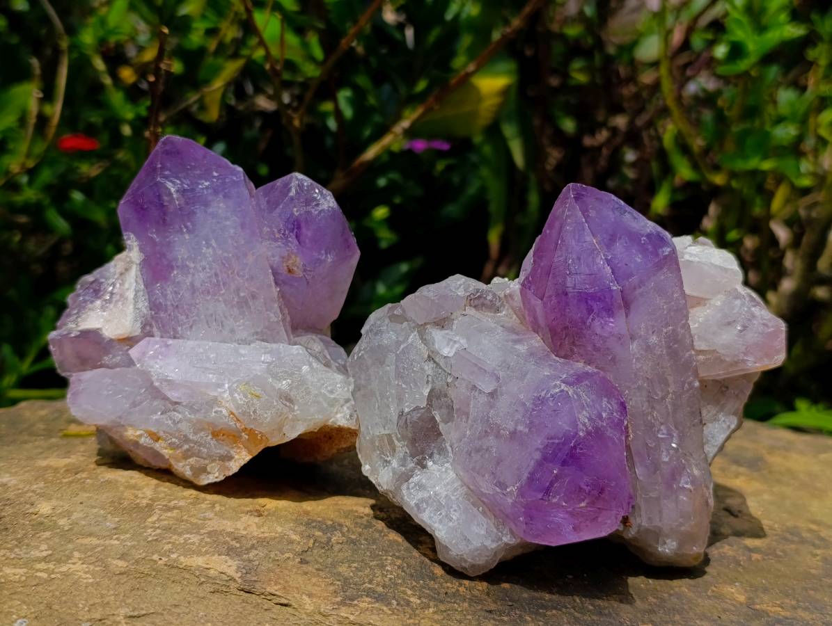 Natural Jacaranda Amethyst Crystal Clusters x 6 From Mumbwa, Zambia - Toprock Gemstones and Minerals 