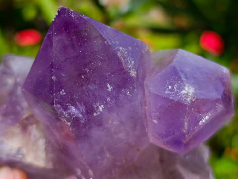 Natural Jacaranda Amethyst Crystal Clusters x 6 From Mumbwa, Zambia - Toprock Gemstones and Minerals 