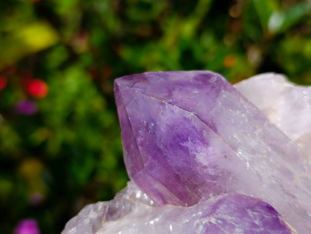 Natural Jacaranda Amethyst Crystal Clusters x 6 From Mumbwa, Zambia - Toprock Gemstones and Minerals 