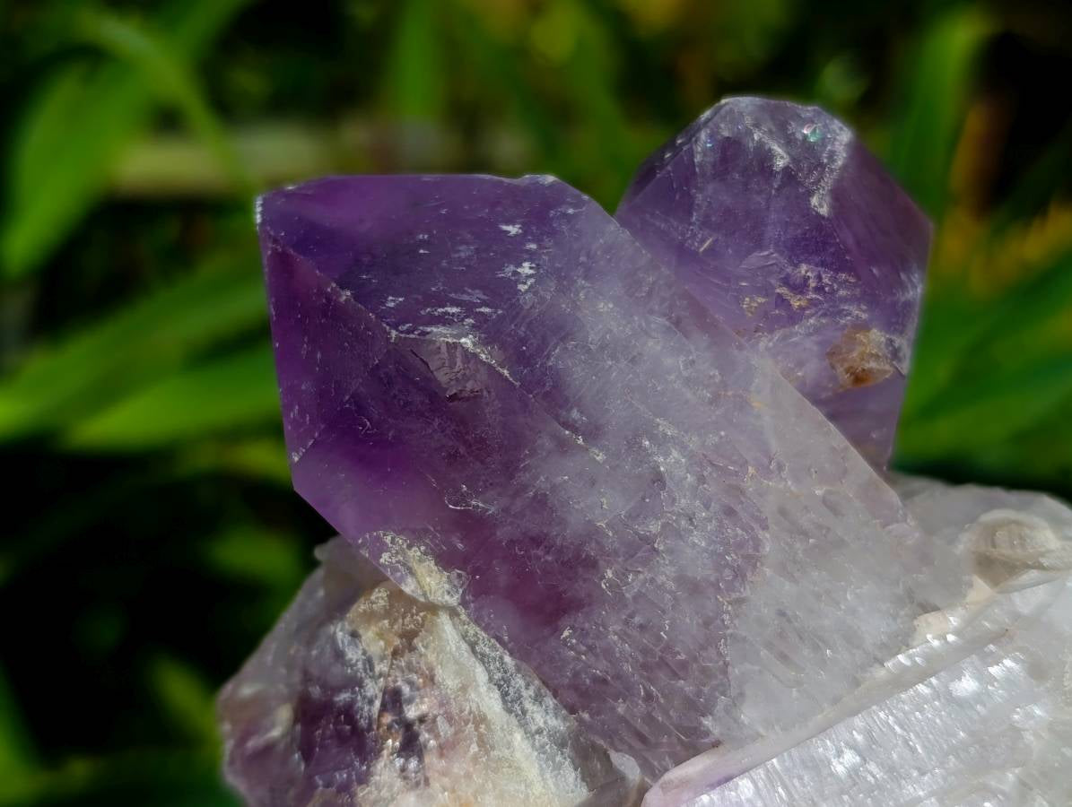 Natural Jacaranda Amethyst Crystal Clusters x 6 From Mumbwa, Zambia - Toprock Gemstones and Minerals 