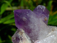 Natural Jacaranda Amethyst Crystal Clusters x 6 From Mumbwa, Zambia