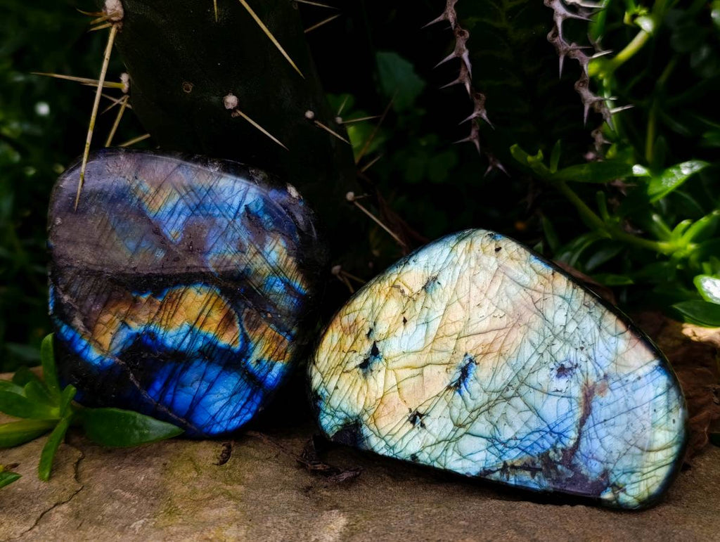 Polished Labradorite Standing Free Forms x 6 From Tulear, Madagascar - Toprock Gemstones and Minerals 