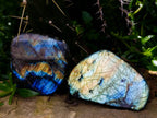 Polished Labradorite Standing Free Forms x 6 From Tulear, Madagascar - Toprock Gemstones and Minerals 