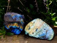 Polished Labradorite Standing Free Forms x 6 From Tulear, Madagascar