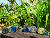 Polished Labradorite Standing Free Forms x 6 From Tulear, Madagascar