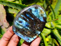 Polished Labradorite Standing Free Forms x 6 From Tulear, Madagascar
