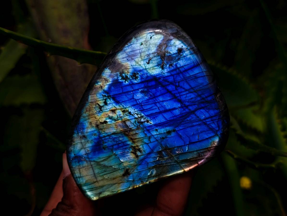 Polished Labradorite Standing Free Forms x 6 From Tulear, Madagascar - Toprock Gemstones and Minerals 