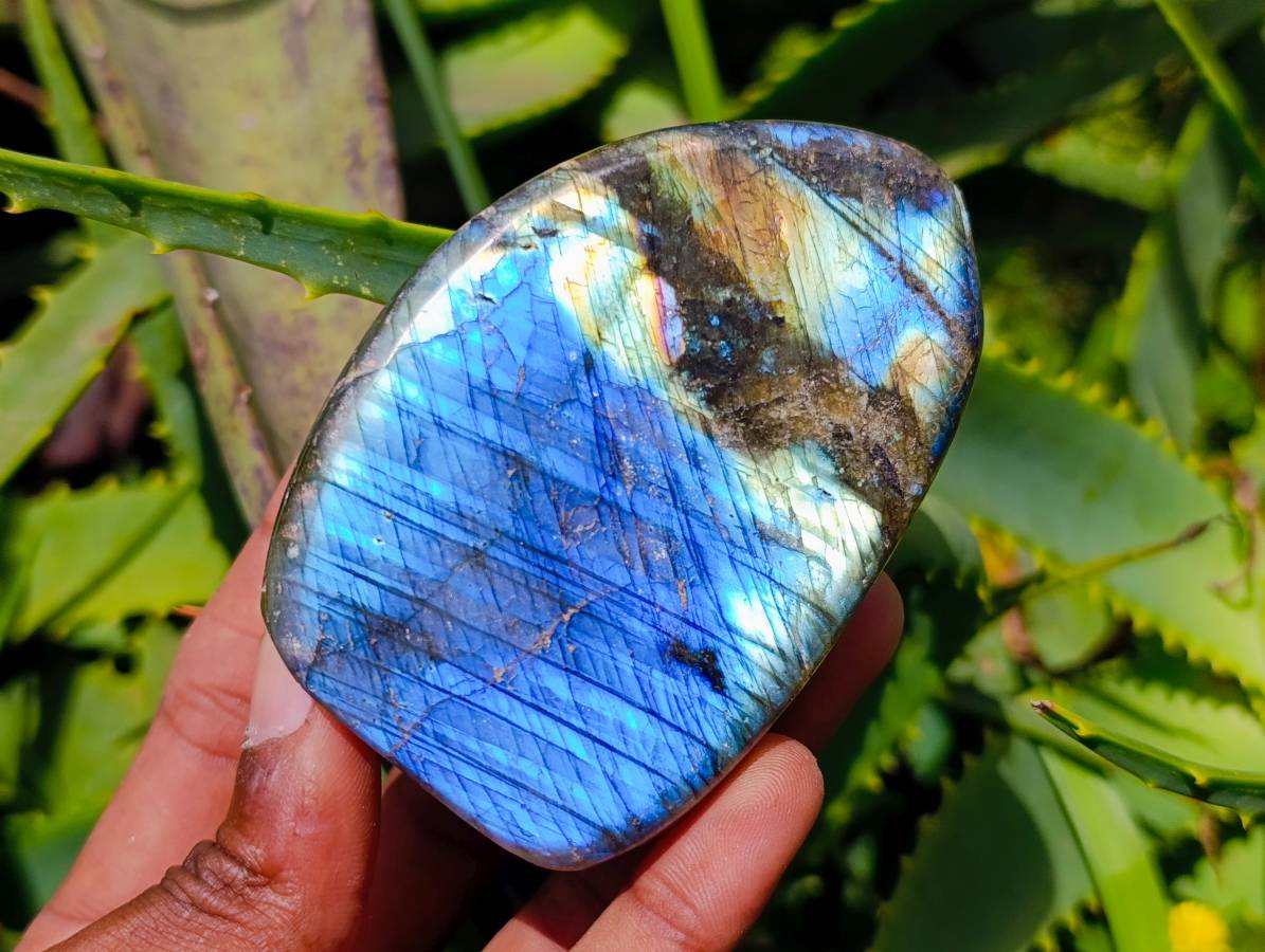 Polished Labradorite Standing Free Forms x 6 From Tulear, Madagascar - Toprock Gemstones and Minerals 