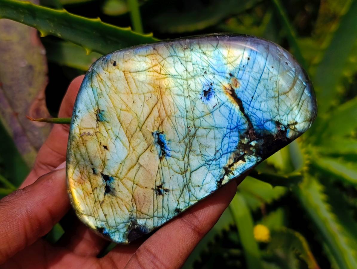 Polished Labradorite Standing Free Forms x 6 From Tulear, Madagascar - Toprock Gemstones and Minerals 