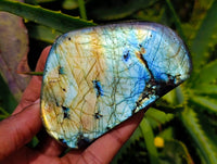 Polished Labradorite Standing Free Forms x 6 From Tulear, Madagascar
