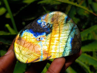 Polished Labradorite Standing Free Forms x 6 From Tulear, Madagascar