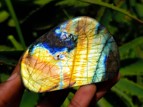 Polished Labradorite Standing Free Forms x 6 From Tulear, Madagascar