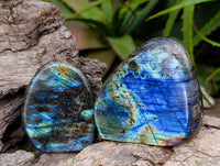 Polished Labradorite Standing Free Forms x 6 From Tulear, Madagascar
