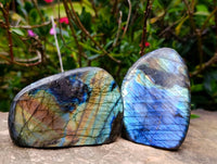 Polished Labradorite Standing Free Forms x 6 From Tulear, Madagascar