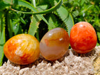 Polished Carnelian Agate Gemstone Galets x 20 From Madagascar - Toprock Gemstones and Minerals 