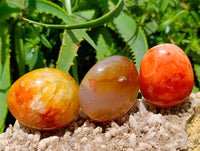 Polished Carnelian Agate Gemstone Galets x 20 From Madagascar