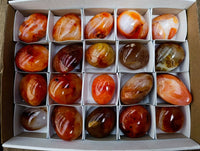 Polished Carnelian Agate Gemstone Galets x 20 From Madagascar