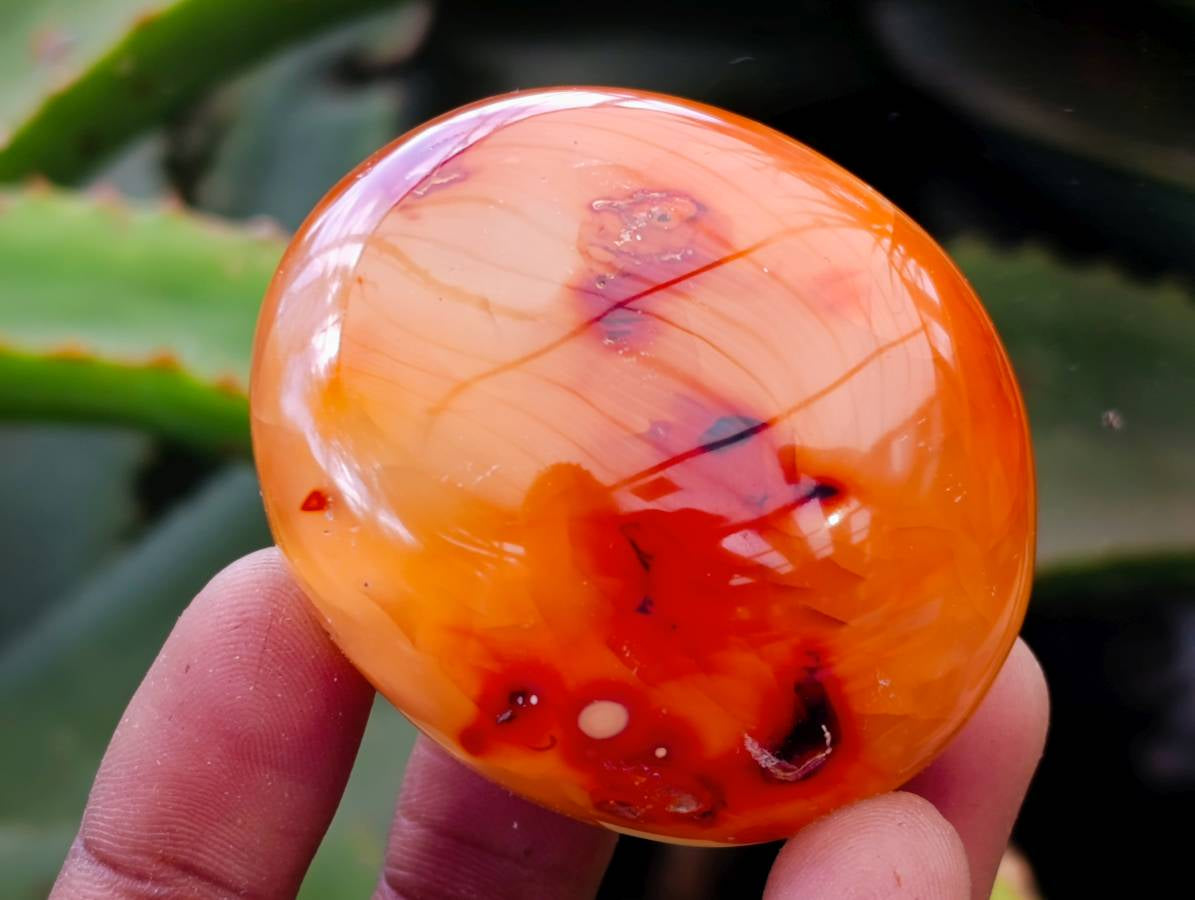 Polished Carnelian Agate Gemstone Galets x 20 From Madagascar - Toprock Gemstones and Minerals 