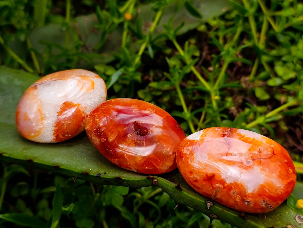 Polished Carnelian Agate Gemstone Galets x 20 From Madagascar - Toprock Gemstones and Minerals 