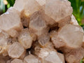 Natural Smokey Phantom Quartz Clusters x 2 From Luena, Congo - Toprock Gemstones and Minerals 