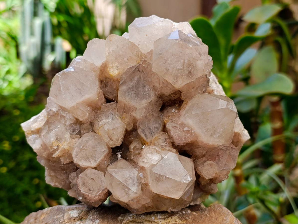 Natural Smokey Phantom Quartz Clusters x 2 From Luena, Congo - Toprock Gemstones and Minerals 