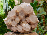 Natural Smokey Phantom Quartz Clusters x 2 From Luena, Congo