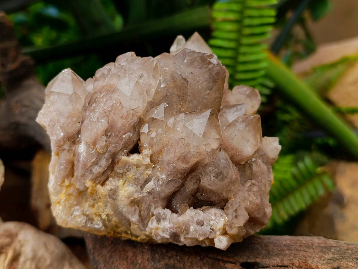 Natural Smokey Phantom Quartz Clusters x 2 From Luena, Congo - Toprock Gemstones and Minerals 