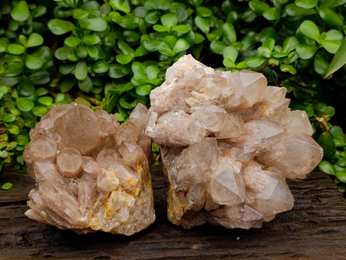 Natural Smokey Phantom Quartz Clusters x 2 From Luena, Congo - Toprock Gemstones and Minerals 