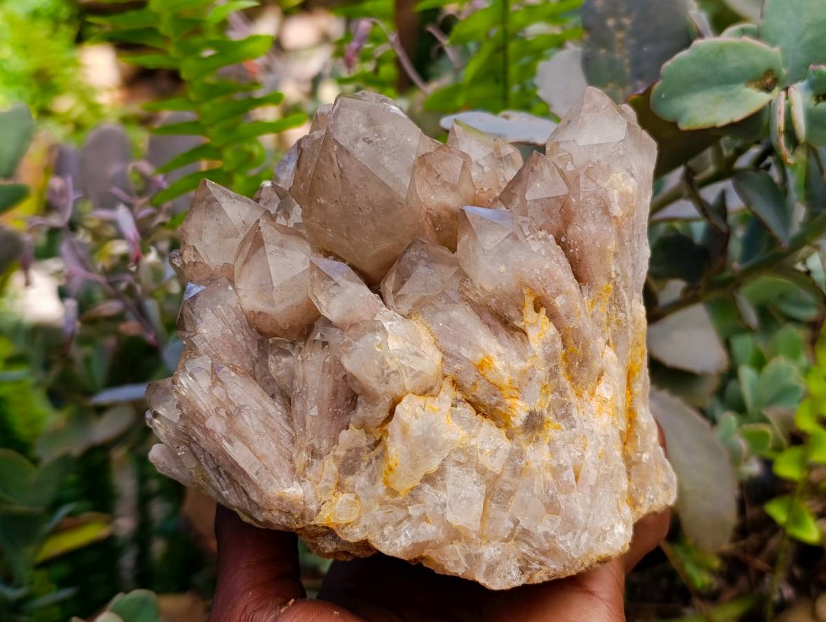 Natural Smokey Phantom Quartz Clusters x 2 From Luena, Congo - Toprock Gemstones and Minerals 