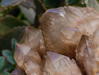 Natural Smokey Phantom Quartz Clusters x 2 From Luena, Congo