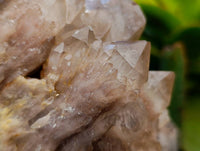 Natural Smokey Phantom Quartz Clusters x 2 From Luena, Congo