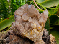 Natural Smokey Phantom Quartz Clusters x 2 From Luena, Congo
