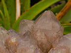 Natural Smokey Phantom Quartz Clusters x 2 From Luena, Congo - Toprock Gemstones and Minerals 
