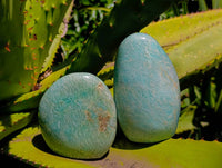 Polished Amazonite Standing Free Forms x 3 From Madagascar