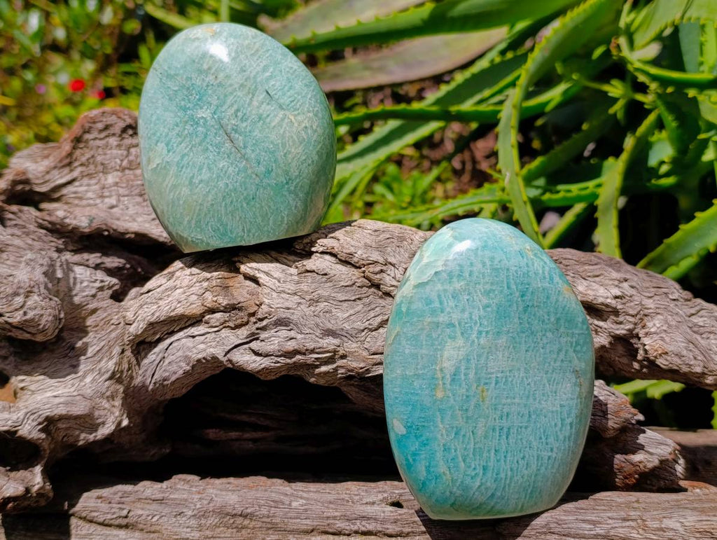 Polished Amazonite Standing Free Forms x 3 From Madagascar - Toprock Gemstones and Minerals 