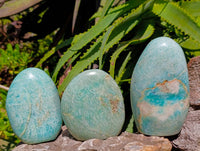 Polished Amazonite Standing Free Forms x 3 From Madagascar