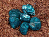 Polished Dioptase Free Forms x 35 From Likasi, Congo