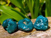 Polished Dioptase Free Forms x 35 From Likasi, Congo