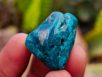 Polished Dioptase Free Forms x 35 From Likasi, Congo