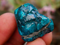 Polished Dioptase Free Forms x 35 From Likasi, Congo