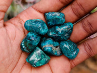 Polished Dioptase Free Forms x 35 From Likasi, Congo