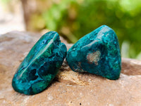 Polished Dioptase Free Forms x 35 From Likasi, Congo