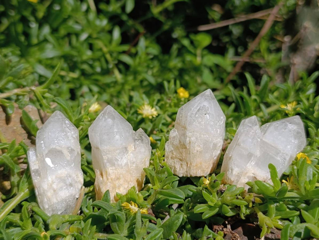 Natural Cascading Candle Quartz Clusters x 35 From Antsirabe, Madagascar - Toprock Gemstones and Minerals 