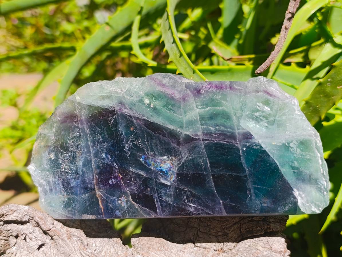 Polished On One Side Watermelon Fluorite Slices x 3 From Uis, Namibia - Toprock Gemstones and Minerals 