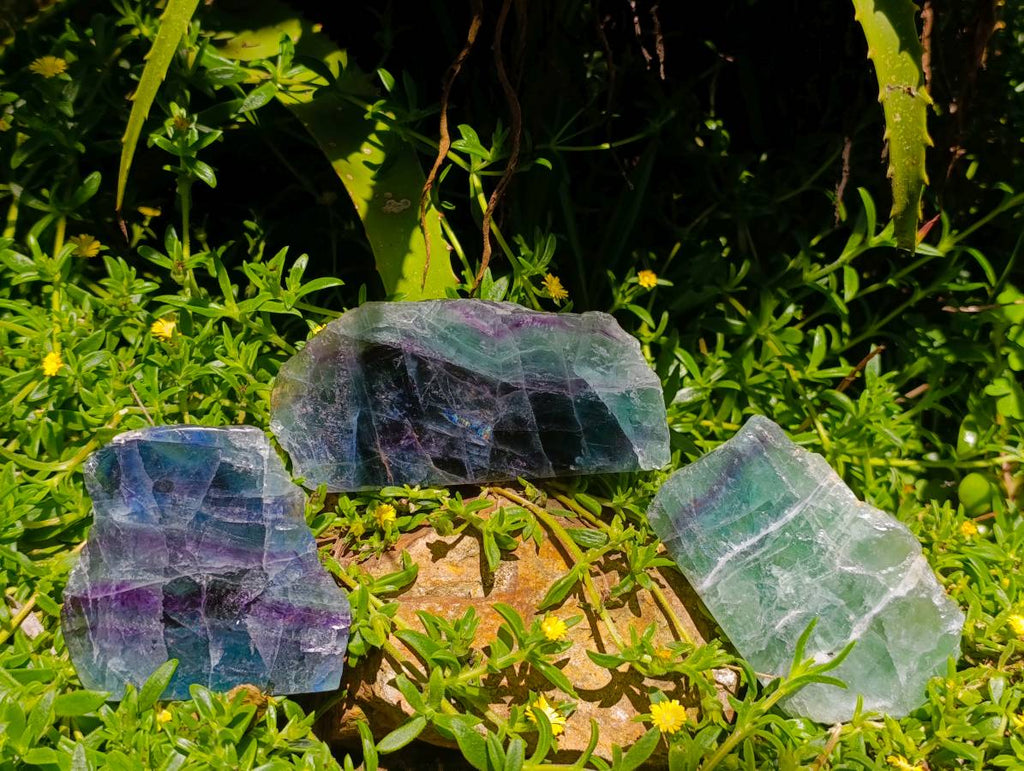Polished On One Side Watermelon Fluorite Slices x 3 From Uis, Namibia - Toprock Gemstones and Minerals 