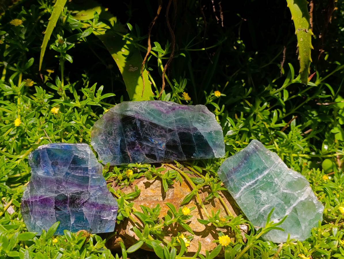 Polished On One Side Watermelon Fluorite Slices x 3 From Uis, Namibia - Toprock Gemstones and Minerals 